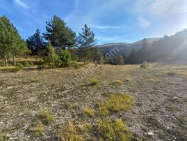 Bolu Mudurnu Dereköy Satılık Yatırımlık Fırsat Uygun Tarla