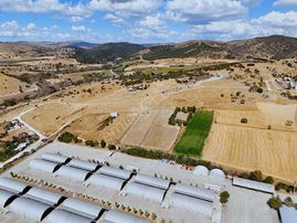 Köseler Mah. İmara Sınır - Meraya Dayalı Satılık 8.530 M² Tarla