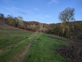 Tarcanlar'dan Kandıra Elmacık Köyünde 5.046 M² Resmi Yollu Tarla