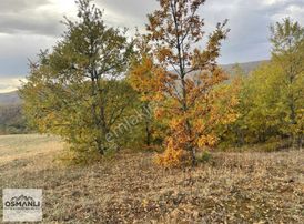 Telefon Fiyatına Hayalinizdeki Doğa Manzaralı Arazi