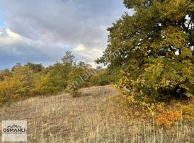 Telefon Fiyatına Hayalinizdeki Doğa Manzaralı Arazi