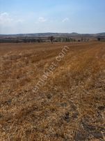 Balcity’den; Balıkesir Bigadiç Çağış’da. Eğimsiz, Köşeli, Kusursuz 5.003 M² Tek Tapu Arazi.