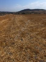 Balcity’den; Balıkesir Bigadiç Çağış’da. Eğimsiz, Köşeli, Kusursuz 5.003 M² Tek Tapu Arazi.