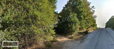 Kırklaeli Armutveren Köyünde Asfalt Yolu Üzeri Satılık Tarla