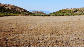 Expert'ten Şirinçavuş'ta Satılık 14.748 M² Tarla