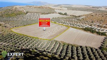 Expert'ten Şirinçavuş'ta Satılık 14.748 M² Tarla