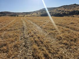 Hakev'den Anayola Safır Köşe Başı 720 M2 Arsa Satılıktır