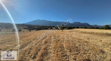 Antalya Elmalı Ahatlı'da Satılık 8200 M2 Yatırımlık Tarla