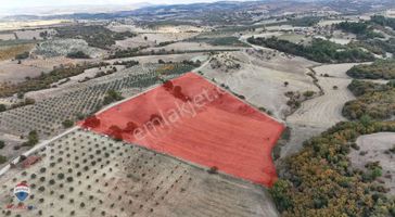 96 Manisa Gördes Bayatta 26.000m2 Satılık Tarla