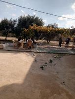 Manisa Salhli Satılık Hobi Bahçesi