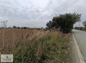 Satılık Yola Sıfır Tarla