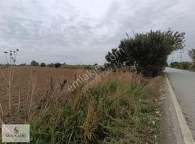 Satılık Yola Sıfır Tarla