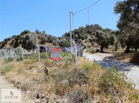 Yola Sıfır Hobi Bahçesi