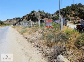 Yola Sıfır Hobi Bahçesi