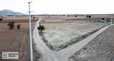 Resmi Yolu Ve Şebeke Su Hattı Mevcut 3051 M2 Tek Tapu Tarla
