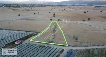 Resmi Yolu Ve Şebeke Su Hattı Mevcut 3051 M2 Tek Tapu Tarla