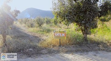 Bayatın En Tutulan Yerinde 13405 M2 Tek Tapu Tarla + Bahçe