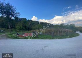 Canbulattan Kaynaşlı Şimşirde 730 M² Satılık Arsa