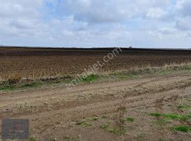 Vize Müsellim Köyünde Yola Cephe Satılık Tarla