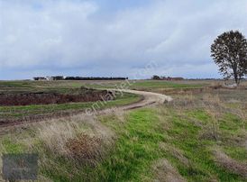 Vize Müsellim Köyünde Yola Cephe Satılık Tarla