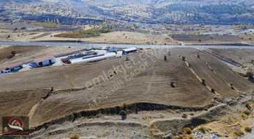 [acg]keban'da 20.683 M2 Keban Yolu Yanında Fırsat Tarla