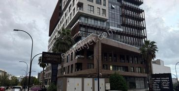 Borkonut Center Kiralık Deniz Manzaralı Temiz Ofis