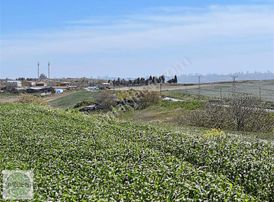 Çilingir De Emlak Konut' Un Yanıbaşında Yatırımlık Arsa Fırsatı