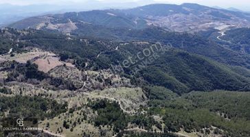 İzmir Menderes Efemçukuru'nda Satılık Tarla