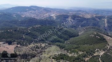 İzmir Menderes Efemçukuru'nda Satılık Tarla