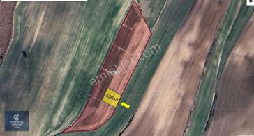 Toki Konutlarına Yakın, Değer Kazanan Bölgede 536 M² Tarla