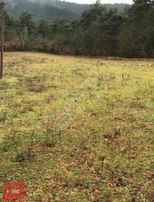 Çanakkale Lapseki Yaylalar Da Yatırımlık Kupon Tarla