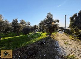 Rızai Taksim Yapılmış 1911 M² Fırsat Acill Satılık Arsa