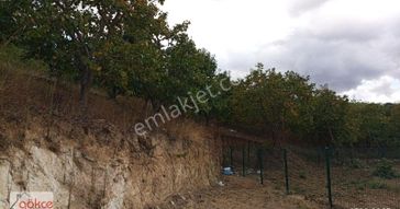 Gökçe'den Köprü Ve Körfez Manzaralı Parseller