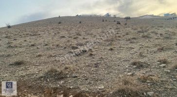 Coldwell Banker'dan Karaköprü Tülmende İmarlı Villa Arsaları