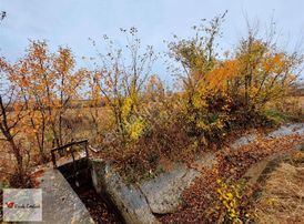 Vadi Emlak'tan Yol-su Kenarında Tamamı Satılık Tarla