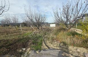 Sahibinden Bornova Beşyol Köyü Üzerinde Tapulu Bahçe