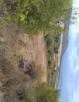 Isparta Bağıllı'da Harika Geniş Dikdörtgen Tarla