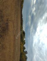 Isparta Bağıllı'da Harika Geniş Dikdörtgen Tarla