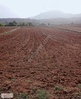 Gölpazarı Çengeller De 3475 M2 Tarla