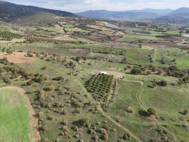 Rookz Balşehir Den Balıkesir Kepsut Recepköyde Satılık Tarla