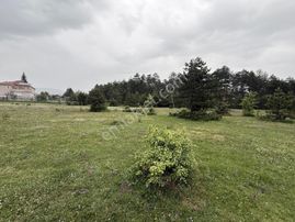 Mengen Teberikler Akçaalanda Satılık Köyiçi Ve İmarlı Arsa