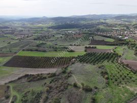 Rookz Balşehir Den Balıkesir Kepsut Recepköyde Satılık Tarla