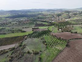 Rookz Balşehir Den Balıkesir Kepsut Recepköyde Satılık Tarla