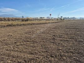 Erkan Anbar Dan Satılık Anayol Üzeri Tarla Suluova Salucu