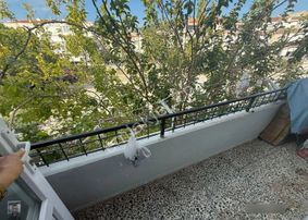 Ayvalık Sarımsaklı Merkezde Ayrı Mutfak 2+1 Masrafsız Satılık Daire