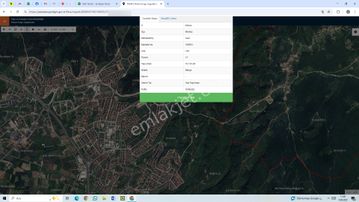 Asar Köyünde Satılık 10135 M2 Fındık Bahçesi