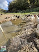 Ekinden Çavuşbaşında Depolama/ Peysaj / Üretim İçin Kiralık Arsa