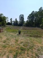 Köye Yakın İki Kenarı Dere Ev Çardak Tel Örgü Herşeyi Hazır