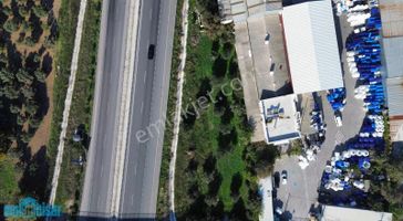 Akhisar Seyitahmet Mh.otoban Yanı Satılık Tek Tapu Zeytinlik