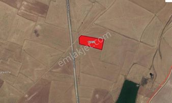 Gama Gayrimenkul'den Asfalta Yola Bir Tarla Mesafede Kupon Araz